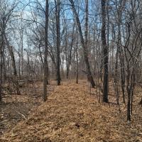 Community Park Nature Trail