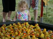 Plastic Ducks