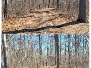 Community Park Nature Trail1