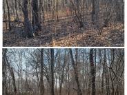 Community Park Nature Trail2