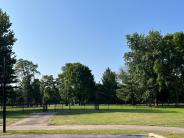 Bark Park1