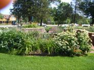 Woodbury Park Gardens1
