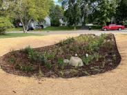 225th LN NW Rain Garden2