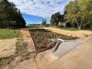225th LN NW Rain Garden1