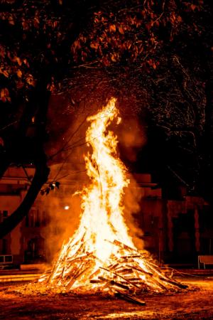 Burn Permit Requirements