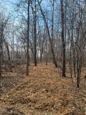 Community Park Nature Trail