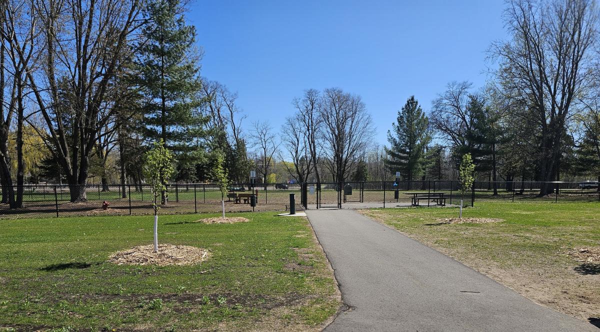 Bark Park1 Bark Park1